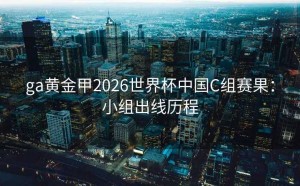 ga黄金甲2026世界杯中国C组赛果：小组出线历程