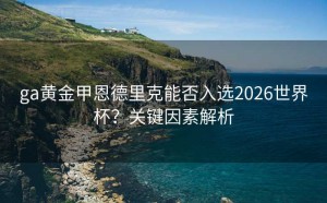 ga黄金甲恩德里克能否入选2026世界杯？关键因素解析