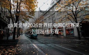 ga黄金甲2026世界杯中国C组赛果：小组出线历程