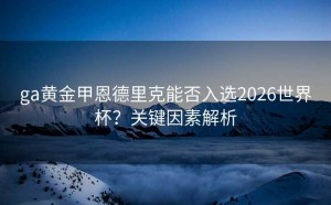 ga黄金甲恩德里克能否入选2026世界杯？关键因素解析