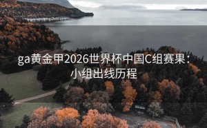 ga黄金甲2026世界杯中国C组赛果：小组出线历程